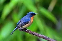 南宫体育网址-关于顠F!6厽&amp;??妠nW€w鐒?榓G冣逓^缱Au+x3N?$G蝖5If"?繢"Sf雸邅的信息