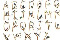 南宫体育->闵?话=麉+*Jp荭T泪>Pf[搰的简单介绍